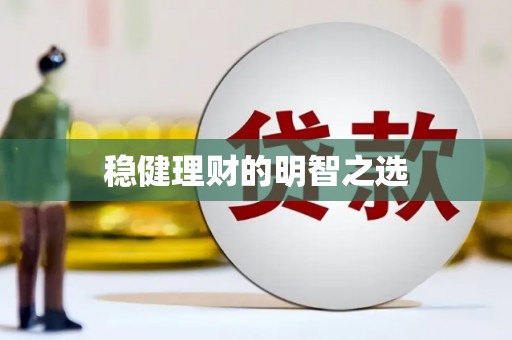 施甸稳健理财的明智之选