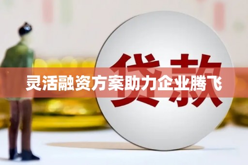 施甸灵活融资方案助力企业腾飞