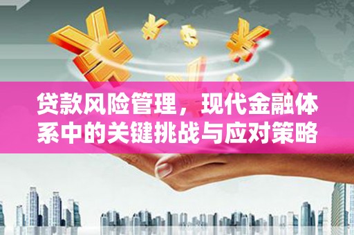 施甸贷款风险管理，现代金融体系中的关键挑战与应对策略