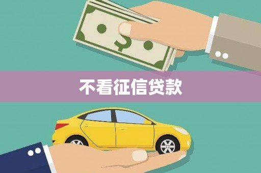 施甸不看征信贷款