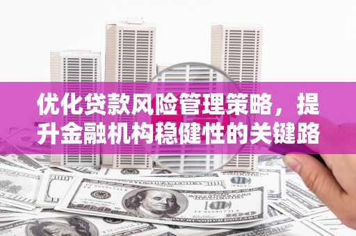 施甸优化贷款风险管理策略，提升金融机构稳健性的关键路径