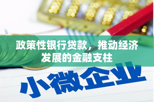 施甸政策性银行贷款，推动经济发展的金融支柱