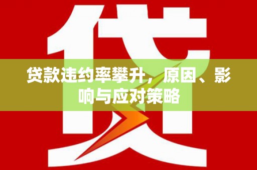 施甸贷款违约率攀升，原因、影响与应对策略