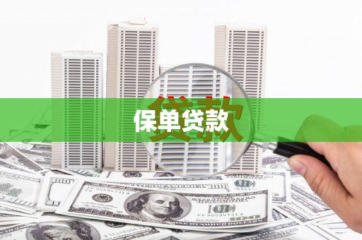 施甸保单贷款