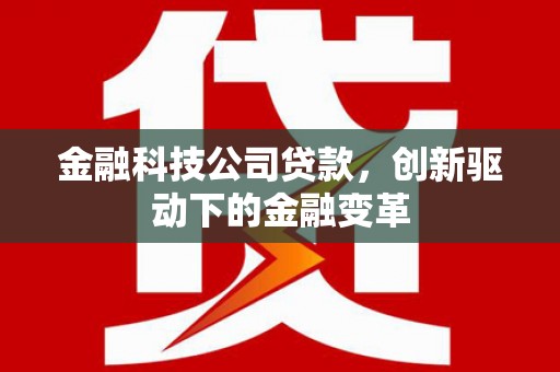 施甸金融科技公司贷款，创新驱动下的金融变革