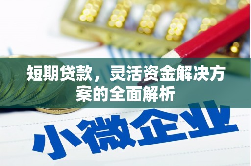 施甸短期贷款，灵活资金解决方案的全面解析
