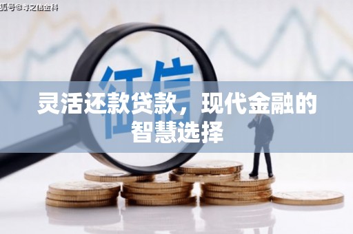 施甸灵活还款贷款，现代金融的智慧选择