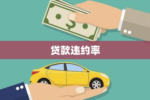 施甸贷款违约率