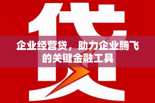 施甸企业经营贷，助力企业腾飞的关键金融工具