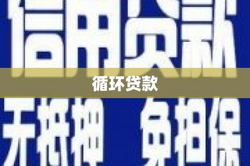 施甸循环贷款
