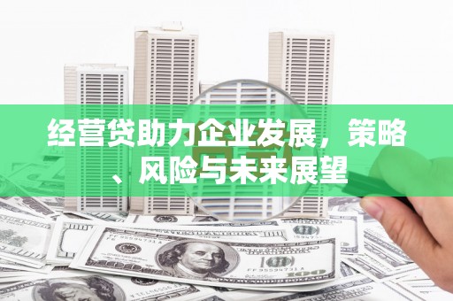 施甸经营贷助力企业发展，策略、风险与未来展望