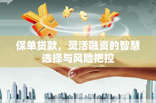 施甸保单贷款，灵活融资的智慧选择与风险把控