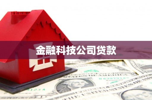 施甸金融科技公司贷款