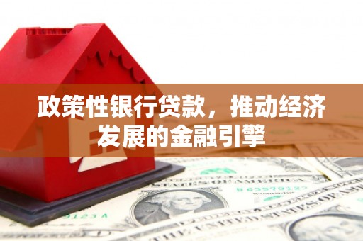 施甸政策性银行贷款，推动经济发展的金融引擎