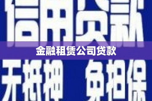 施甸金融租赁公司贷款