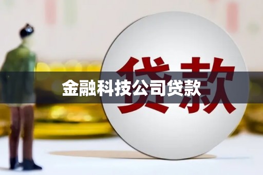 施甸金融科技公司贷款