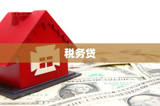 施甸税务贷