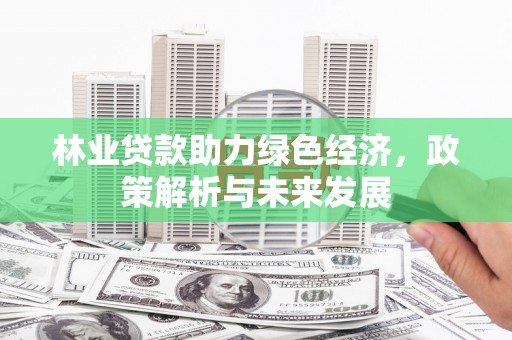 施甸林业贷款助力绿色经济，政策解析与未来发展