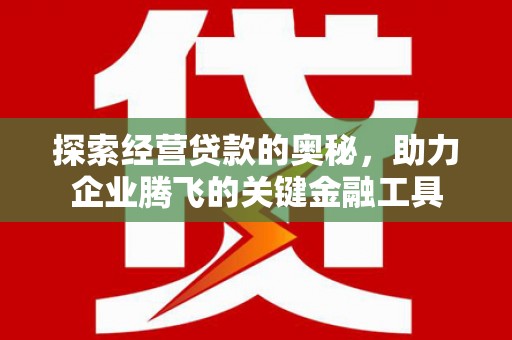 施甸探索经营贷款的奥秘，助力企业腾飞的关键金融工具