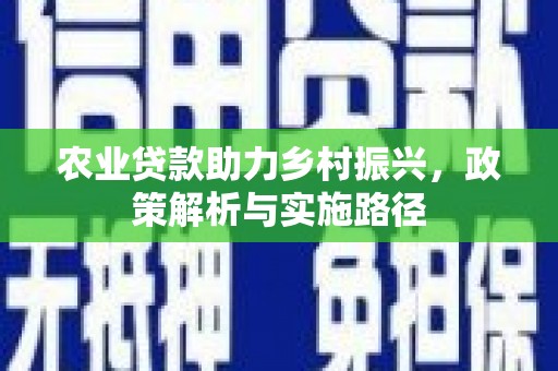 施甸农业贷款助力乡村振兴，政策解析与实施路径
