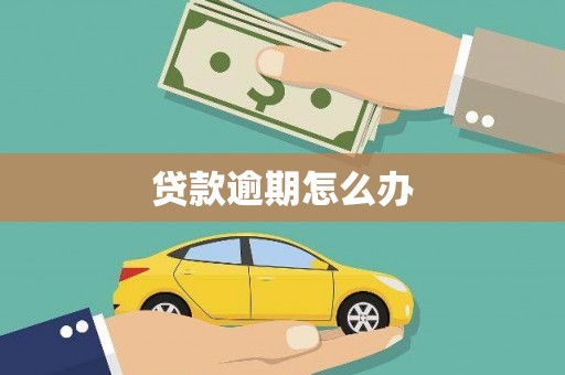 施甸贷款逾期怎么办
