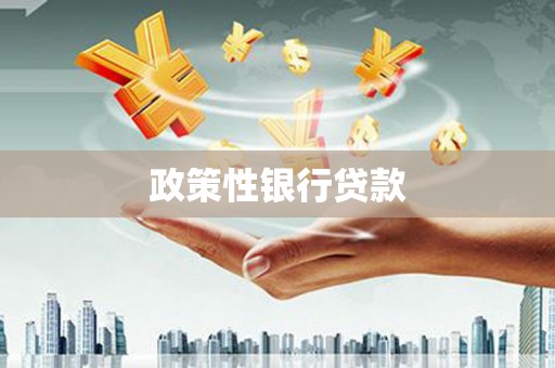 施甸政策性银行贷款