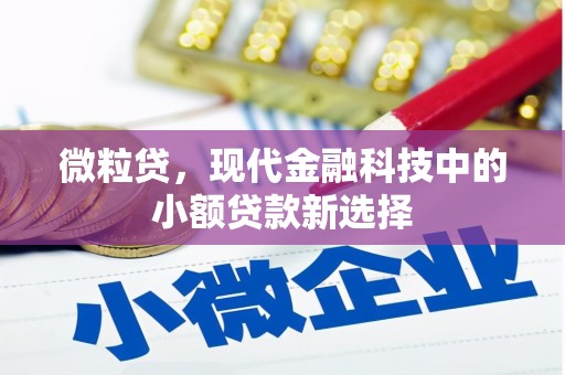 施甸微粒贷，现代金融科技中的小额贷款新选择