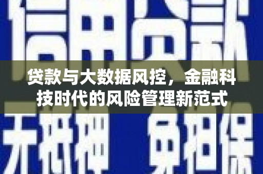 施甸贷款与大数据风控，金融科技时代的风险管理新范式