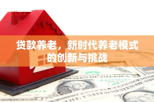 施甸贷款养老，新时代养老模式的创新与挑战