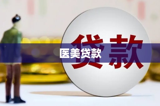 施甸医美贷款