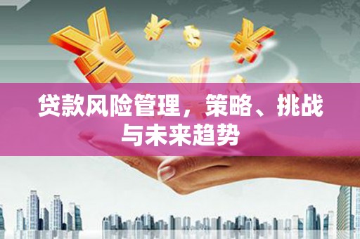 施甸贷款风险管理，策略、挑战与未来趋势