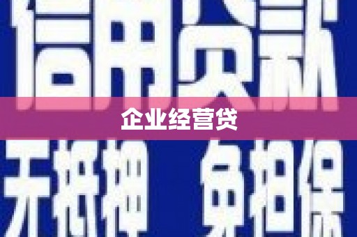 施甸企业经营贷