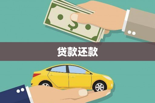 施甸贷款还款