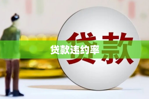 施甸贷款违约率