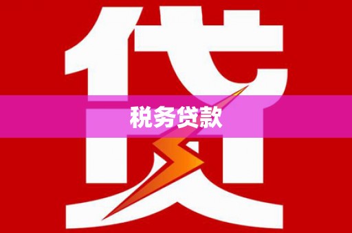 施甸税务贷款