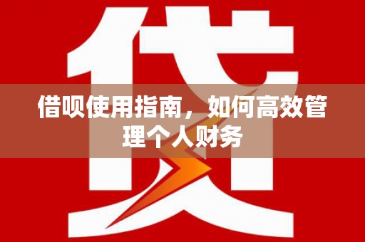 施甸借呗使用指南，如何高效管理个人财务
