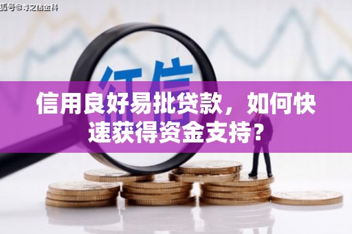 施甸信用良好易批贷款，如何快速获得资金支持？