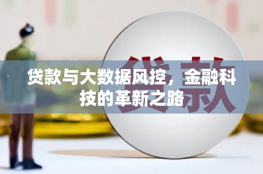 施甸贷款与大数据风控，金融科技的革新之路