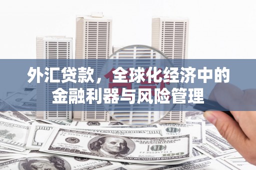 施甸外汇贷款，全球化经济中的金融利器与风险管理