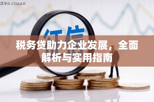施甸税务贷助力企业发展，全面解析与实用指南