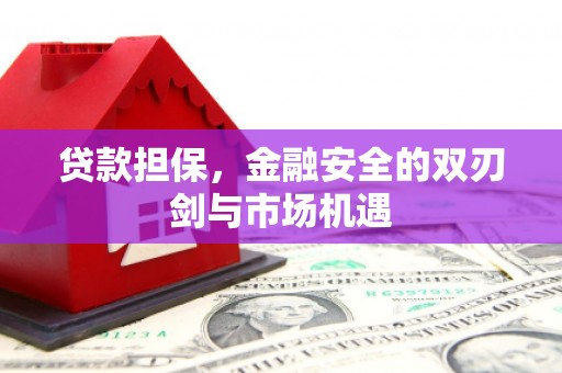 施甸贷款担保，金融安全的双刃剑与市场机遇