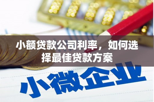 施甸小额贷款公司利率，如何选择最佳贷款方案