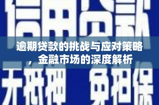 施甸逾期贷款的挑战与应对策略，金融市场的深度解析