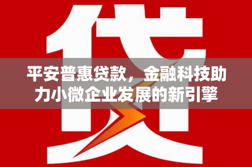 施甸平安普惠贷款，金融科技助力小微企业发展的新引擎