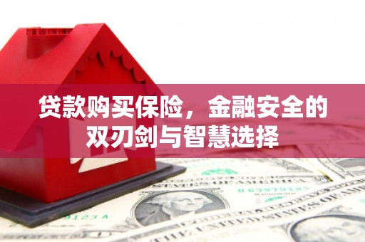 施甸贷款购买保险，金融安全的双刃剑与智慧选择