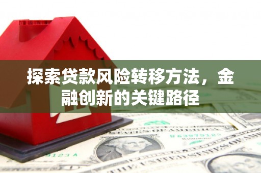 施甸探索贷款风险转移方法，金融创新的关键路径