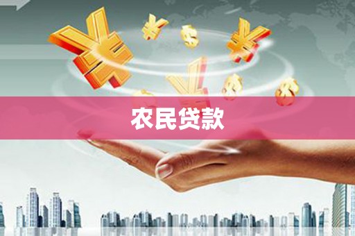 施甸农民贷款