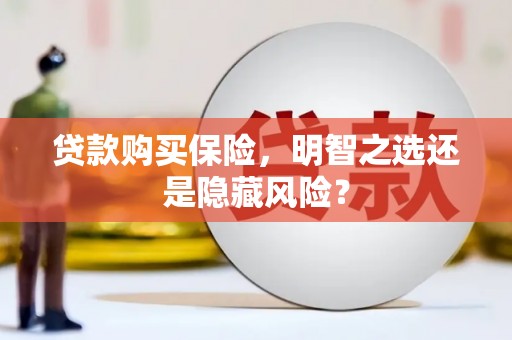 施甸贷款购买保险，明智之选还是隐藏风险？