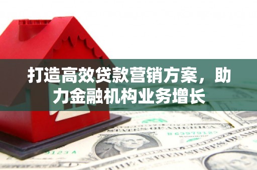 施甸打造高效贷款营销方案，助力金融机构业务增长