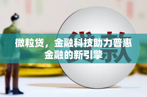 施甸微粒贷，金融科技助力普惠金融的新引擎